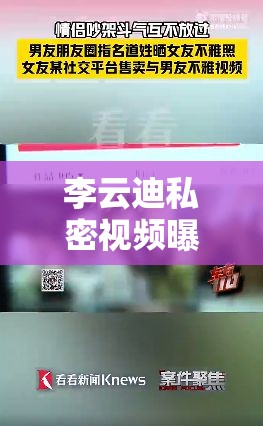 李云迪私密視頻曝光事件，公眾人物隱私的邊界與反思