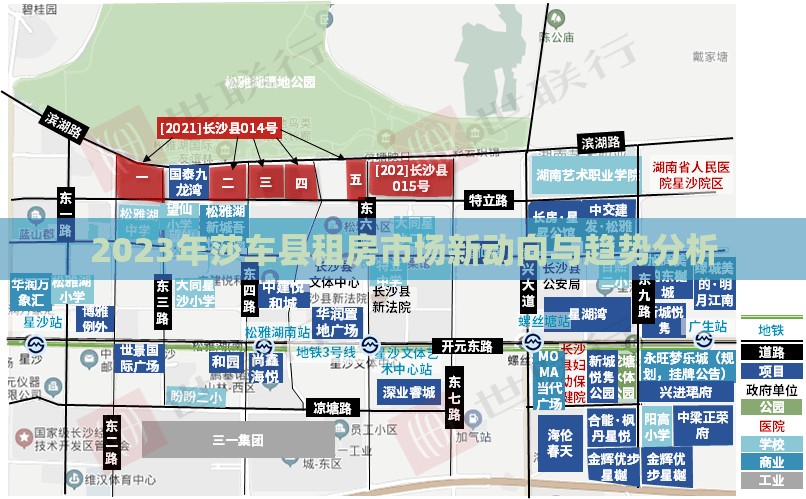 2023年莎車縣租房市場新動(dòng)向與趨勢分析