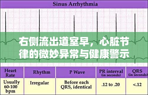 右側流出道室早，心臟節(jié)律的微妙異常與健康警示