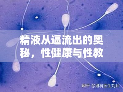 精液從逼流出的奧秘，性健康與性教育的誤解與真相