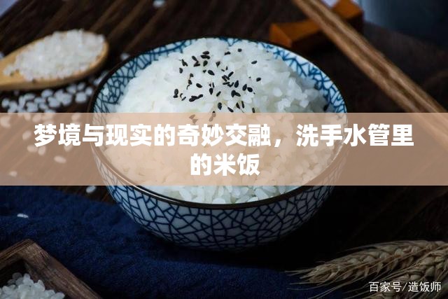 夢(mèng)境與現(xiàn)實(shí)的奇妙交融，洗手水管里的米飯