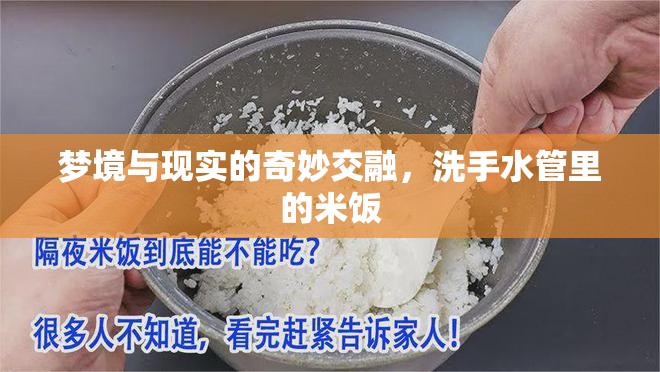 夢(mèng)境與現(xiàn)實(shí)的奇妙交融，洗手水管里的米飯