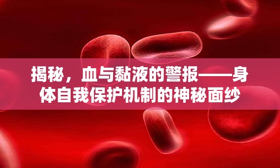 揭秘，血與黏液的警報——身體自我保護機制的神秘面紗