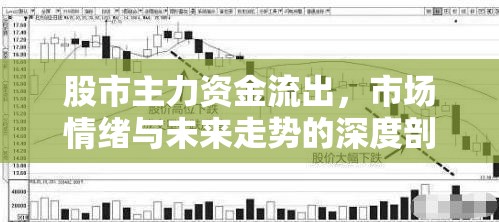 股市主力資金流出，市場(chǎng)情緒與未來走勢(shì)的深度剖析