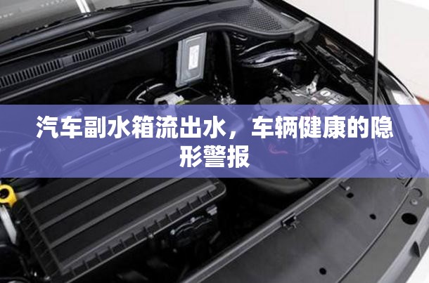 汽車副水箱流出水，車輛健康的隱形警報