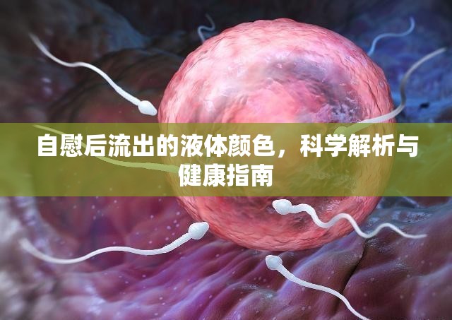 自慰后流出的液體顏色，科學(xué)解析與健康指南