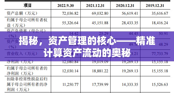 揭秘，資產(chǎn)管理的核心——精準(zhǔn)計(jì)算資產(chǎn)流動(dòng)的奧秘
