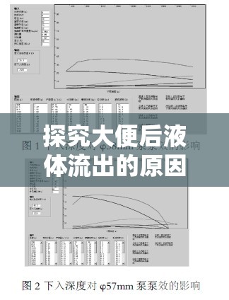 探究大便后液體流出的原因、影響及應(yīng)對策略