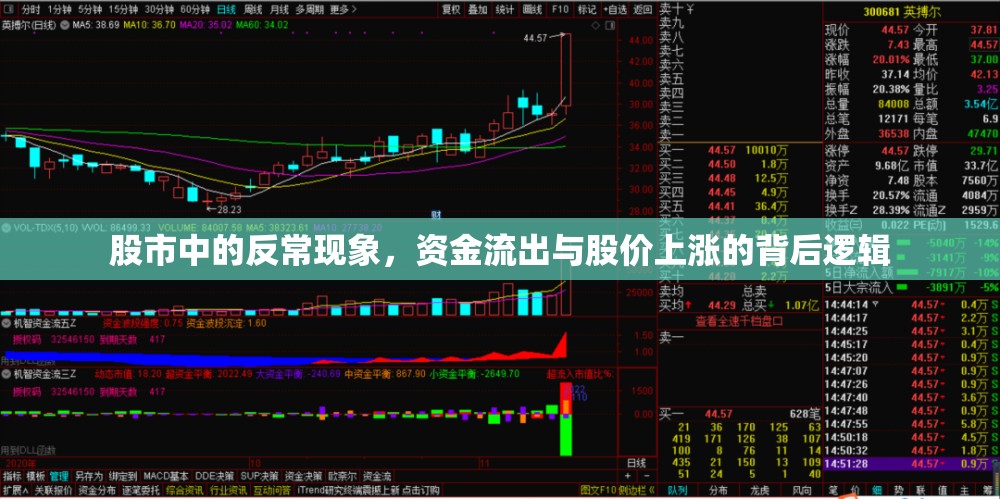 股市中的反常現(xiàn)象，資金流出與股價(jià)上漲的背后邏輯