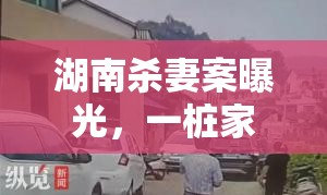 湖南殺妻案曝光，一樁家庭悲劇引發(fā)的社會反思