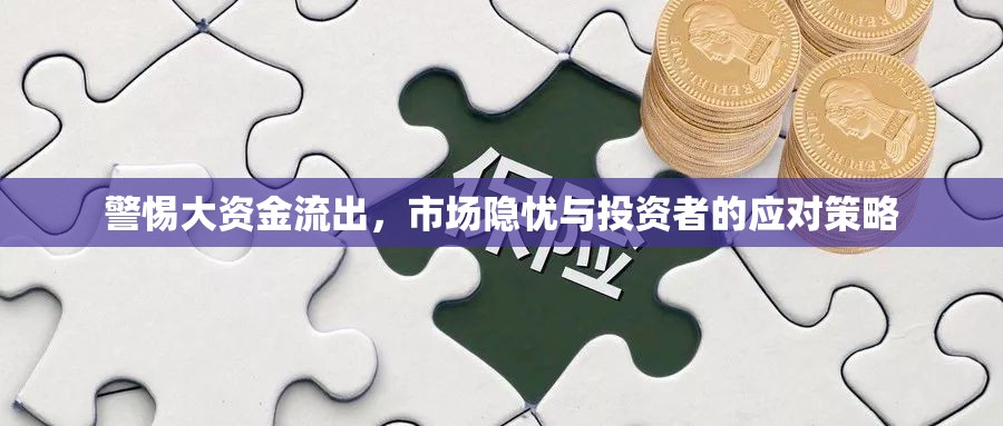 警惕大資金流出，市場隱憂與投資者的應(yīng)對策略