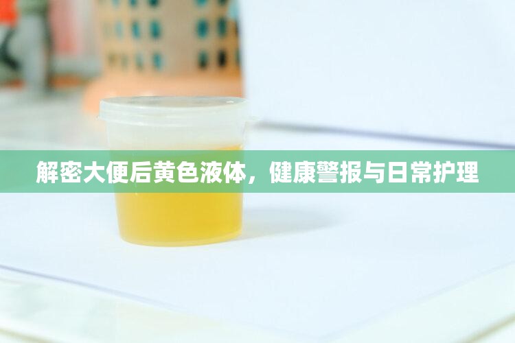 解密大便后黃色液體，健康警報與日常護理