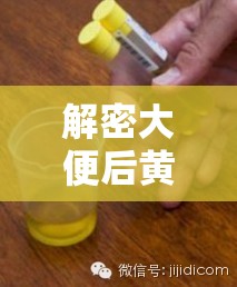 解密大便后黃色液體，健康警報與日常護理