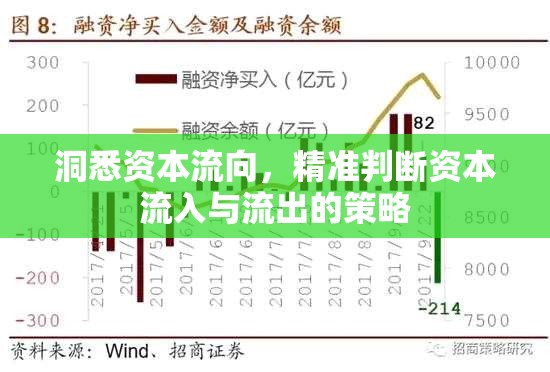 洞悉資本流向，精準判斷資本流入與流出的策略