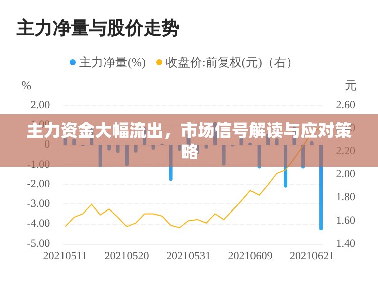 主力資金大幅流出，市場信號解讀與應對策略