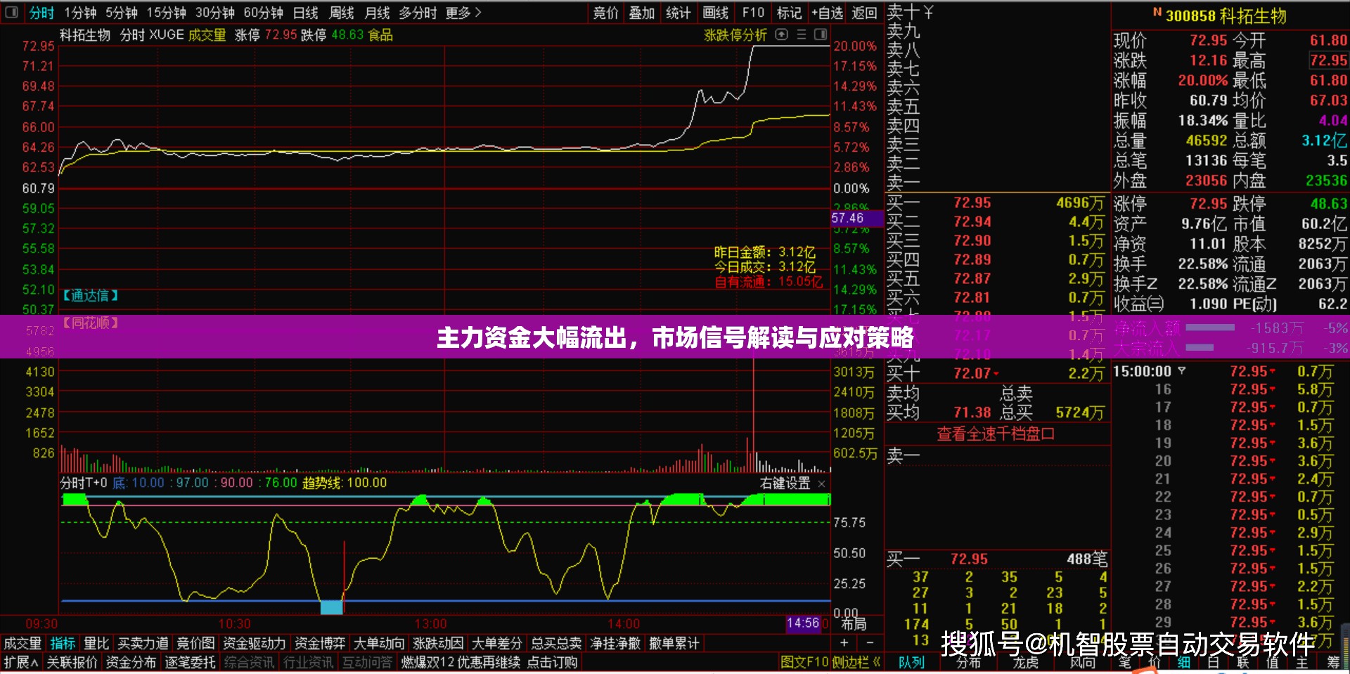 主力資金大幅流出，市場信號解讀與應對策略