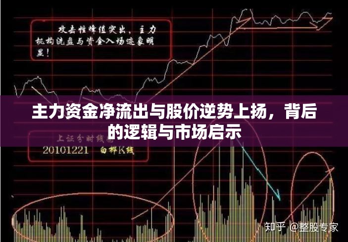 主力資金凈流出與股價逆勢上揚，背后的邏輯與市場啟示