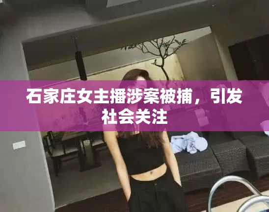 石家莊女主播涉案被捕，引發(fā)社會(huì)關(guān)注