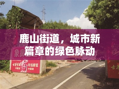 鹿山街道，城市新篇章的綠色脈動