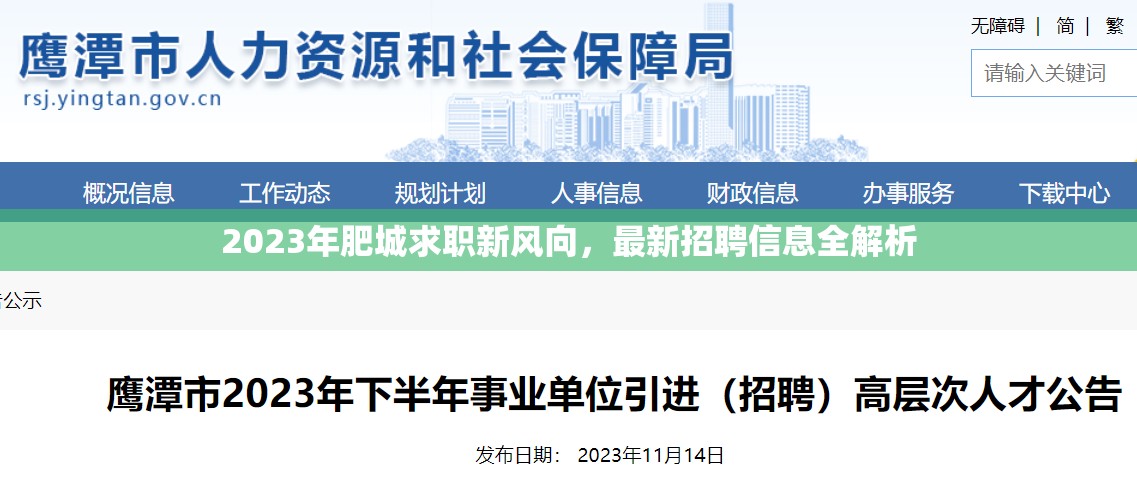 2023年肥城求職新風向，最新招聘信息全解析