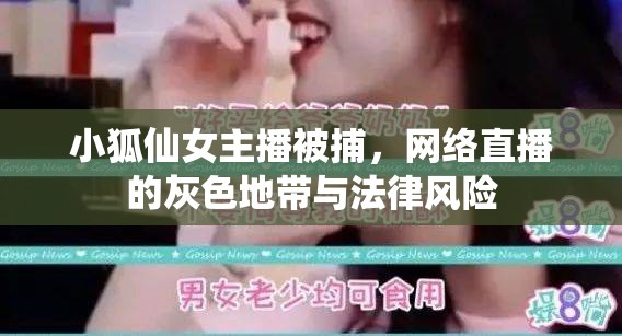 小狐仙女主播被捕，網(wǎng)絡直播的灰色地帶與法律風險