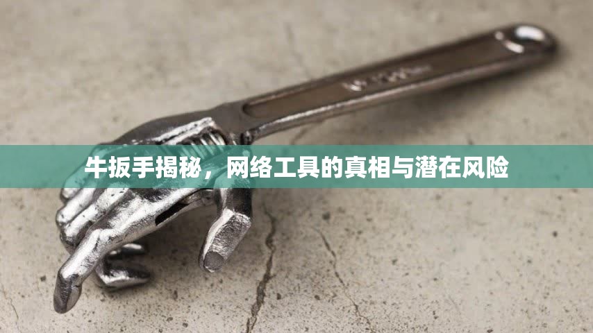 牛扳手揭秘，網(wǎng)絡工具的真相與潛在風險