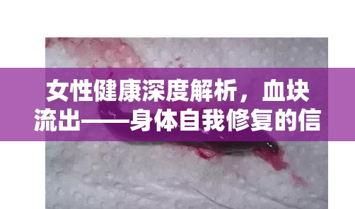 女性健康深度解析，血塊流出——身體自我修復(fù)的信號(hào)