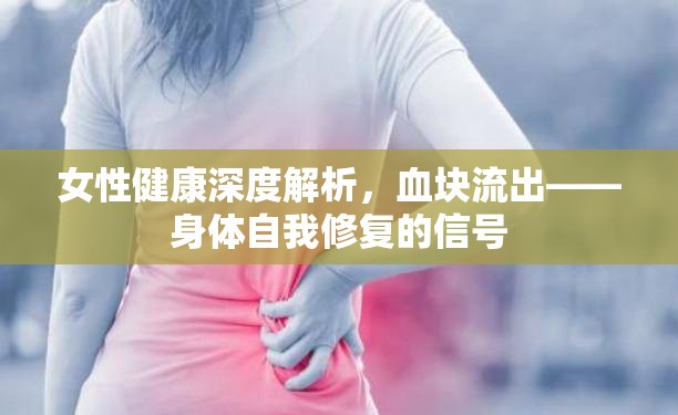 女性健康深度解析，血塊流出——身體自我修復(fù)的信號(hào)