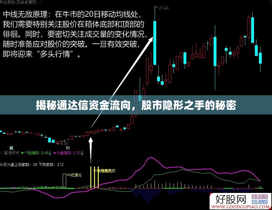 揭秘通達信資金流向，股市隱形之手的秘密