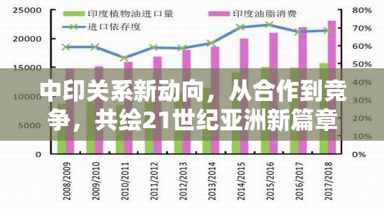 中印關系新動向，從合作到競爭，共繪21世紀亞洲新篇章