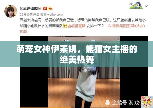 萌寵女神伊素婉，熊貓女主播的絕美熱舞