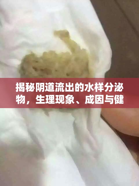 揭秘陰道流出的水樣分泌物，生理現(xiàn)象、成因與健康管理全面解析