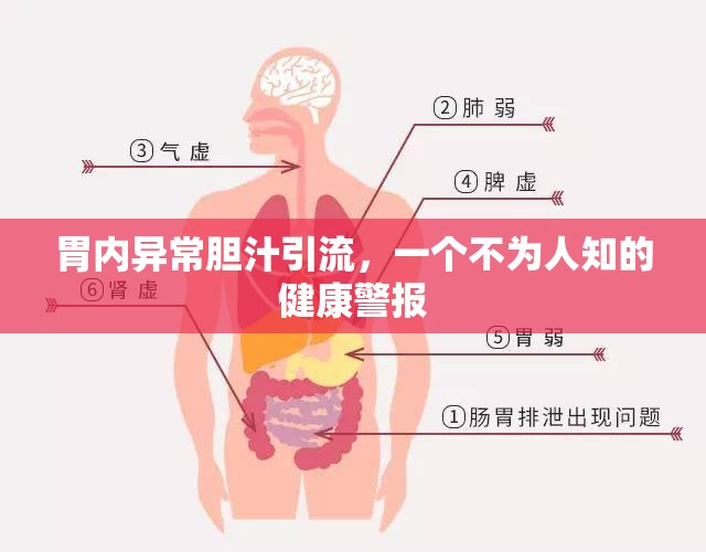 胃內(nèi)異常膽汁引流，一個不為人知的健康警報