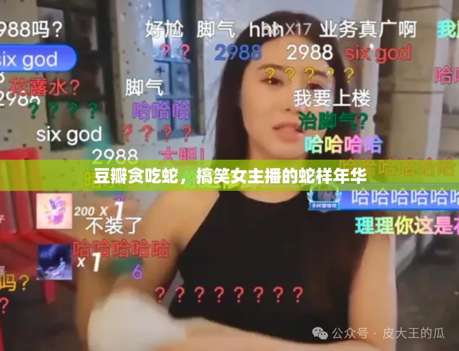 豆瓣貪吃蛇，搞笑女主播的蛇樣年華