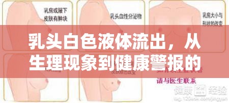 乳頭白色液體流出，從生理現(xiàn)象到健康警報的全面解析