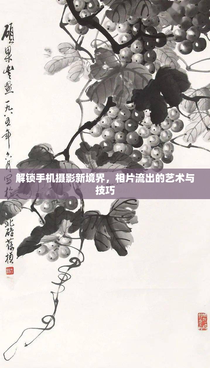 解鎖手機攝影新境界，相片流出的藝術(shù)與技巧