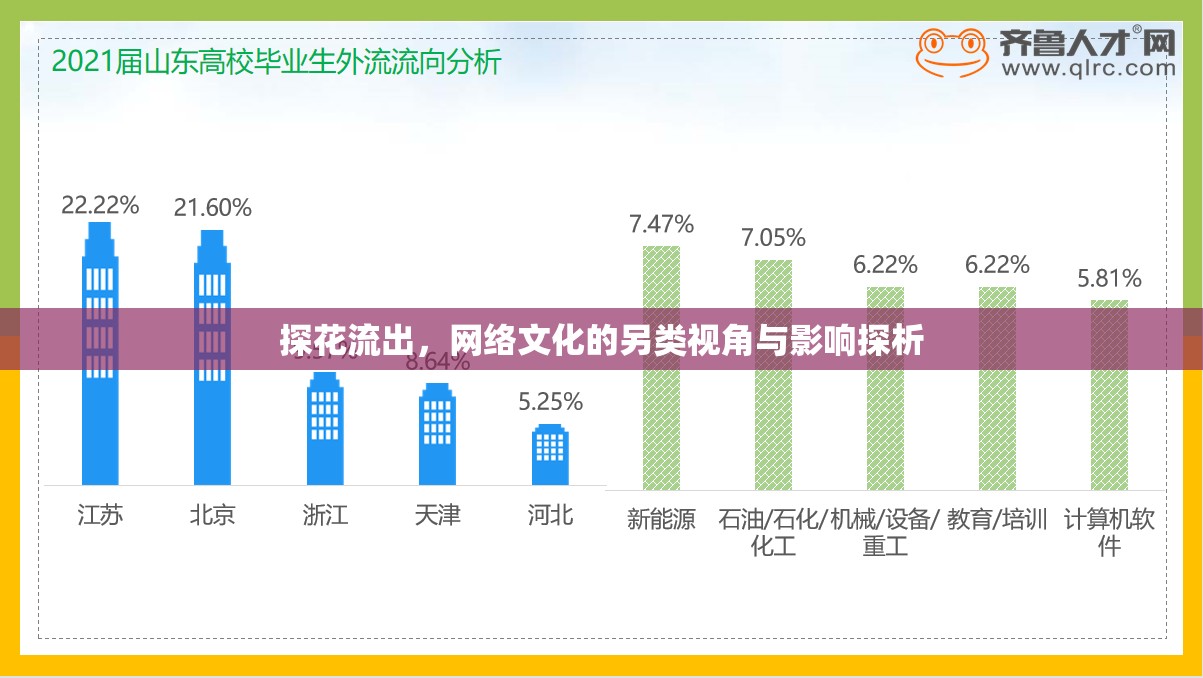 探花流出，網(wǎng)絡文化的另類視角與影響探析