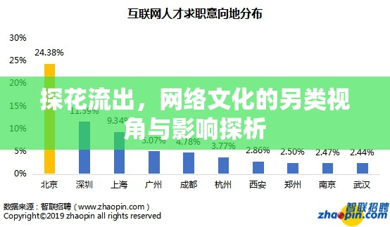 探花流出，網(wǎng)絡文化的另類視角與影響探析