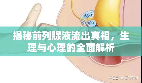 揭秘前列腺液流出真相，生理與心理的全面解析