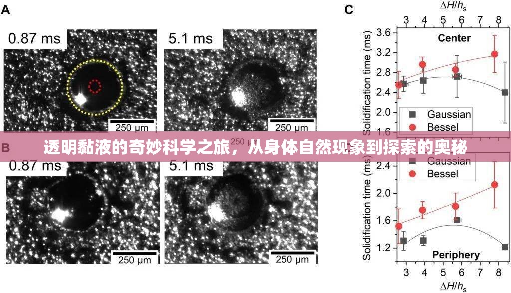 透明黏液的奇妙科學(xué)之旅，從身體自然現(xiàn)象到探索的奧秘