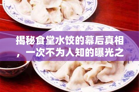 揭秘食堂水餃的幕后真相，一次不為人知的曝光之旅