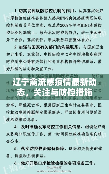 遼寧禽流感疫情最新動態(tài)，關注與防控措施