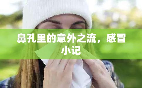 鼻孔里的意外之流，感冒小記