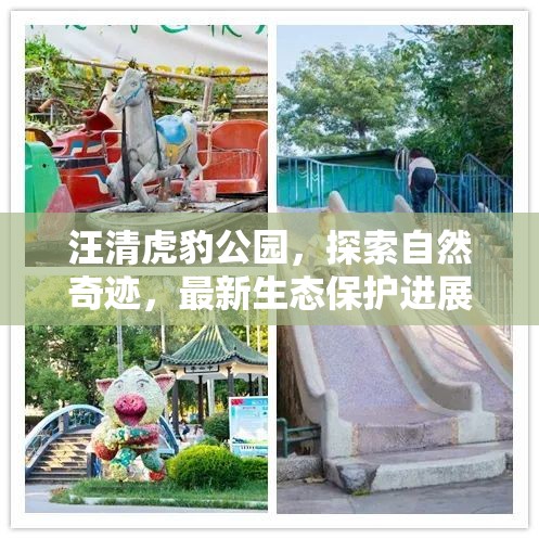 汪清虎豹公園，探索自然奇跡，最新生態(tài)保護(hù)進(jìn)展與未來展望