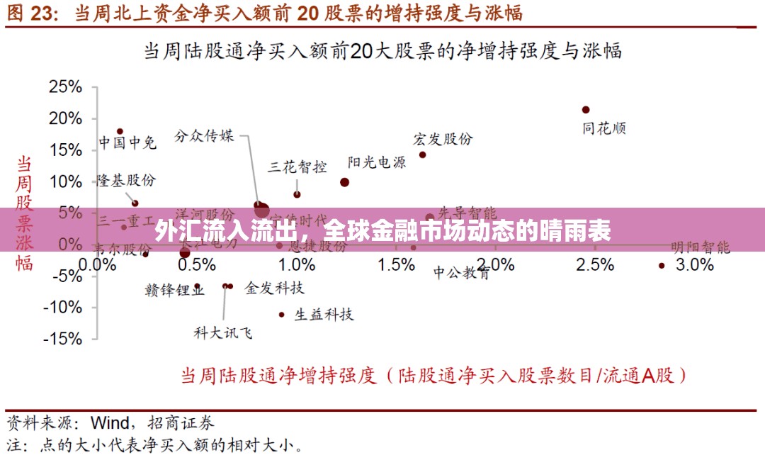 外匯流入流出，全球金融市場動態(tài)的晴雨表