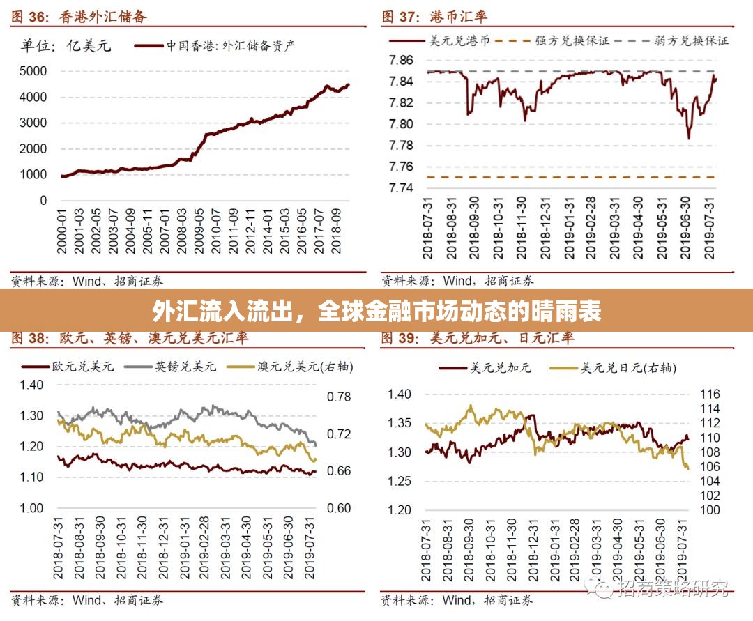 外匯流入流出，全球金融市場動態(tài)的晴雨表