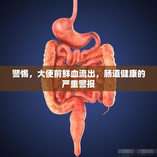 警惕，大便前鮮血流出，腸道健康的嚴(yán)重警報