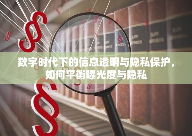 數(shù)字時代下的信息透明與隱私保護，如何平衡曝光度與隱私