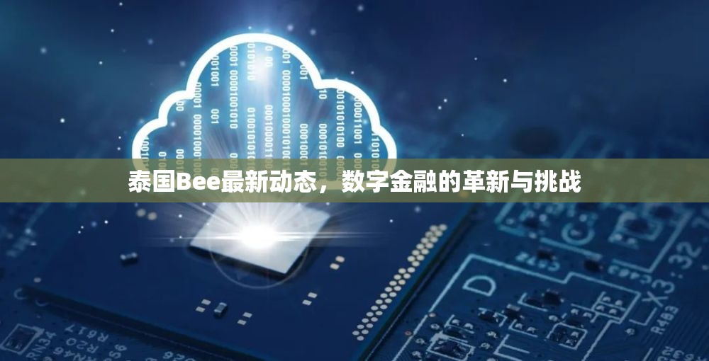 泰國Bee最新動(dòng)態(tài)，數(shù)字金融的革新與挑戰(zhàn)