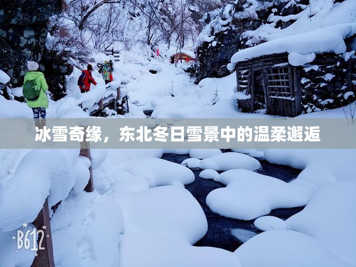 冰雪奇緣，東北冬日雪景中的溫柔邂逅